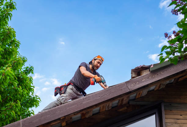 Reliable Palisade, CO Roofing services Solutions